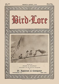 Bird Lore
